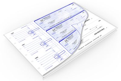 Duplicate Manual Checks Custom Online